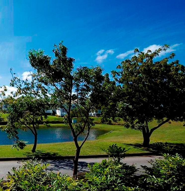 Coconut Grove 1, Luxury Villa By Island Villas Saint James Exterior photo